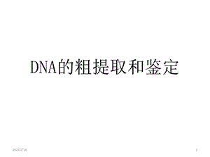 DNA的粗提取和鉴定课件.ppt