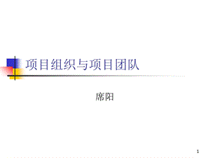 项目组织与项目团队ppt课件.ppt