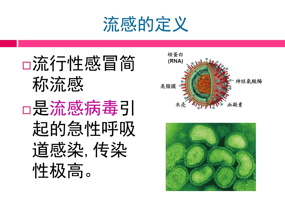 预防流感 ppt课件.ppt_第3页