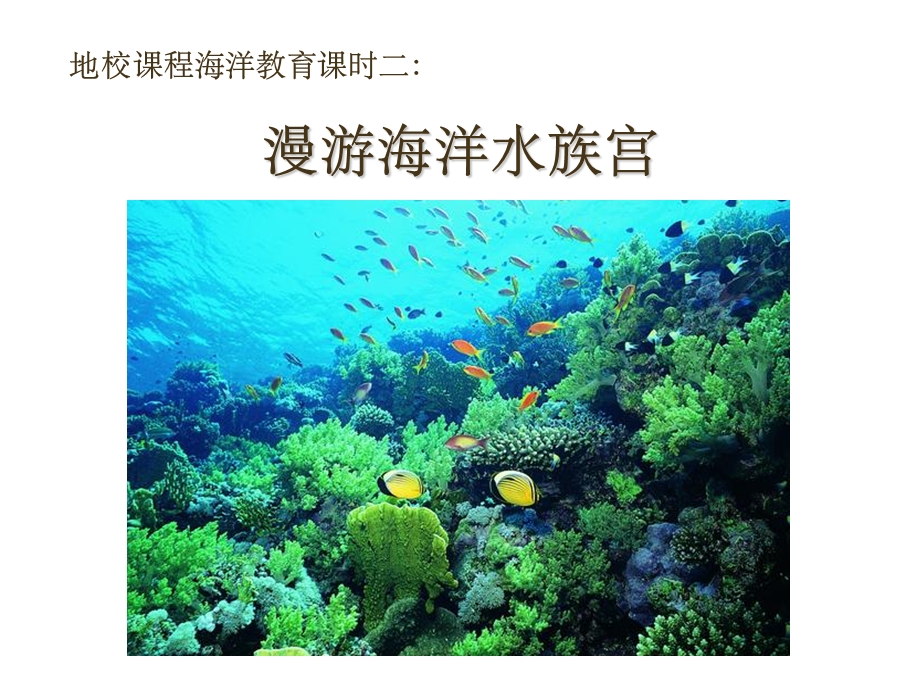 海洋无脊椎动物课件.ppt_第1页