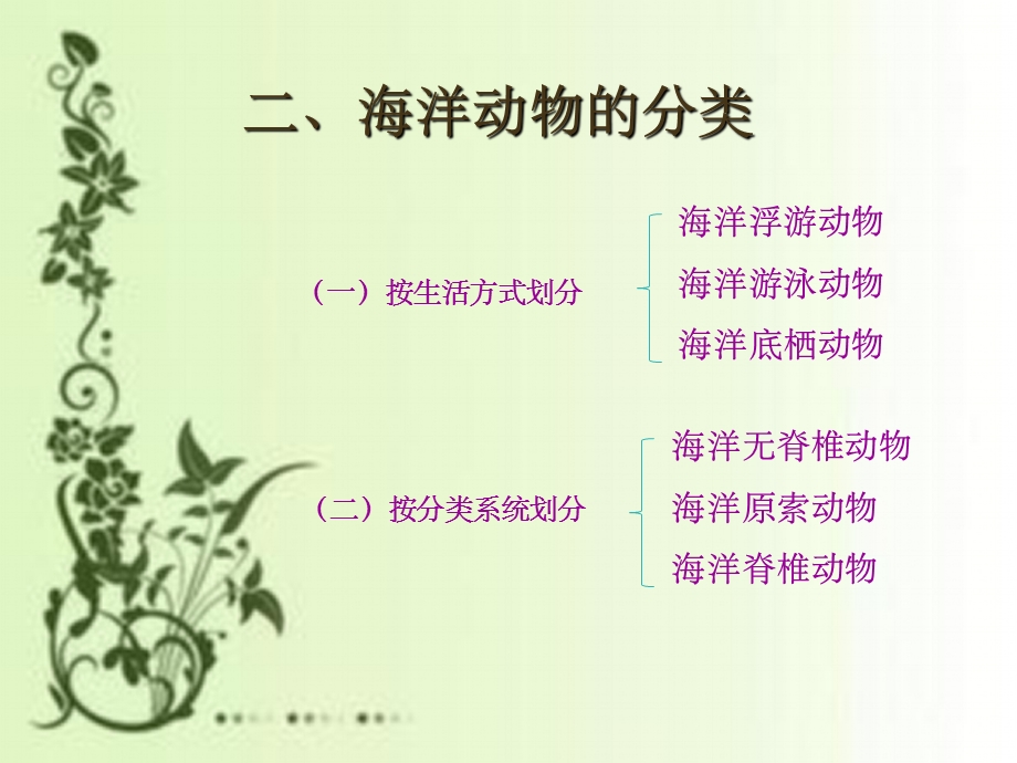 海洋无脊椎动物课件.ppt_第3页