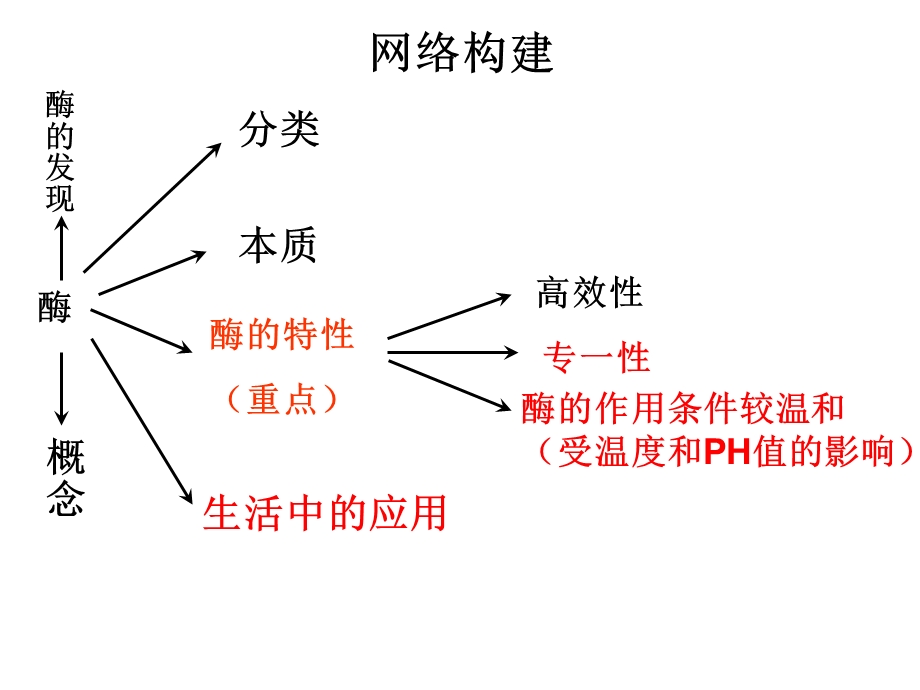 高三复习《降低化学反应活化能的酶》优秀ppt课件.ppt_第2页