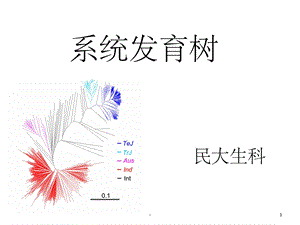 系统发育树课件.ppt