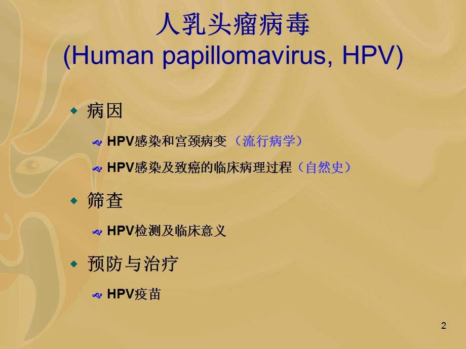 HV与宫颈病变课件.ppt_第2页