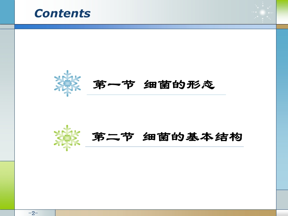 细菌的形态和结构课件.ppt_第2页