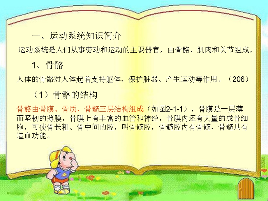 婴幼儿各系统解剖生理特点课件.ppt_第2页