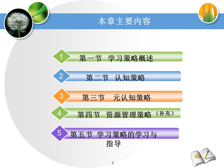 学习策略的学习课件.ppt_第2页