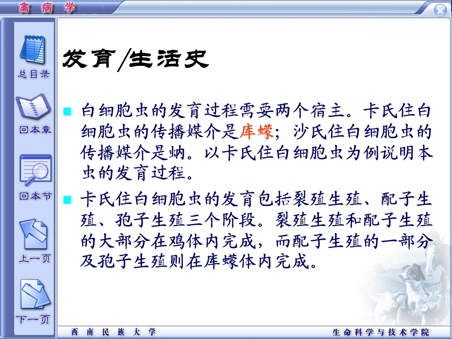 鸡住白细胞虫病ppt课件.ppt_第3页