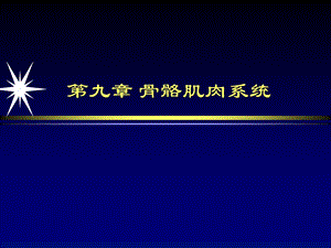 骨骼肌肉系统 医学影像诊断学ppt课件.ppt