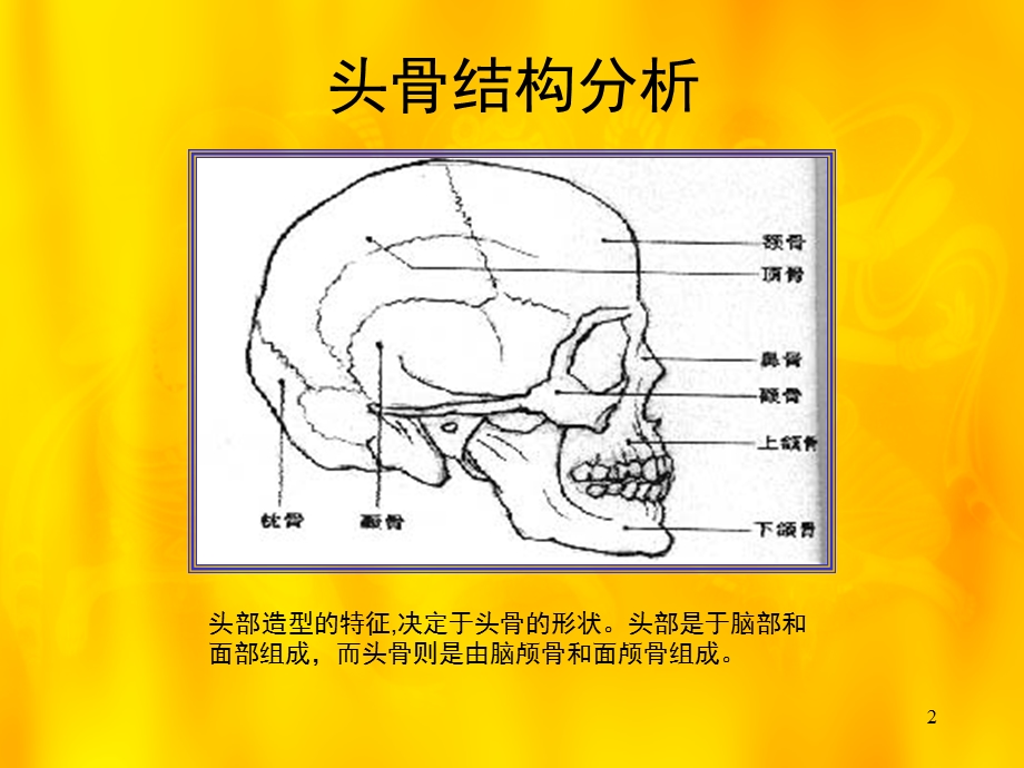 石膏头像素描课件.ppt_第2页