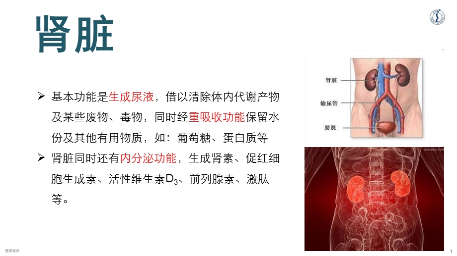 慢性肾脏病专题知识主题讲座ppt课件.ppt_第1页