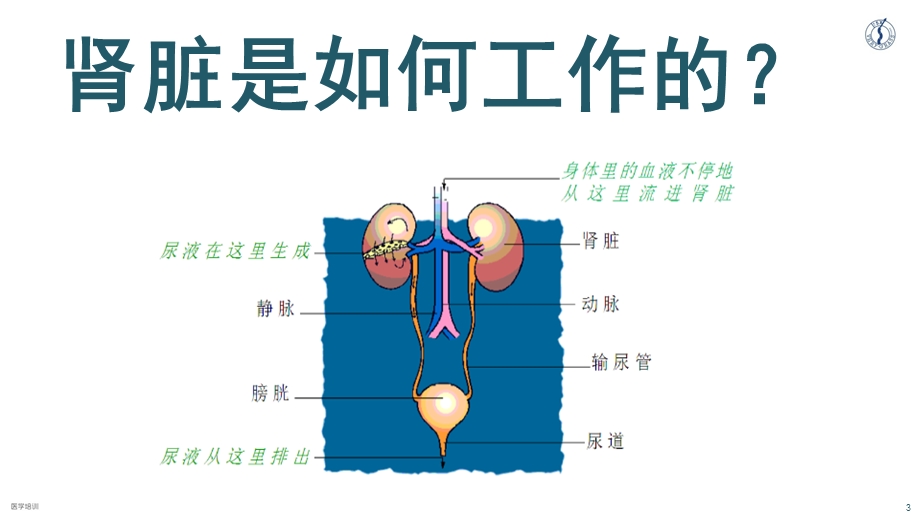 慢性肾脏病专题知识主题讲座ppt课件.ppt_第3页