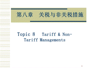 关税措施课件.ppt