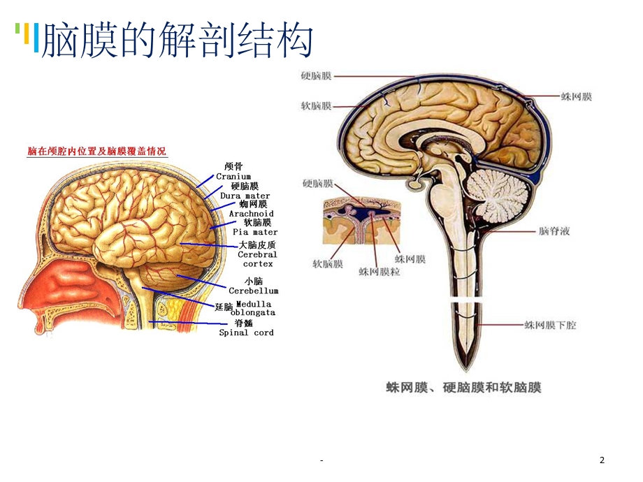 外伤性颅内出血课件.ppt_第2页