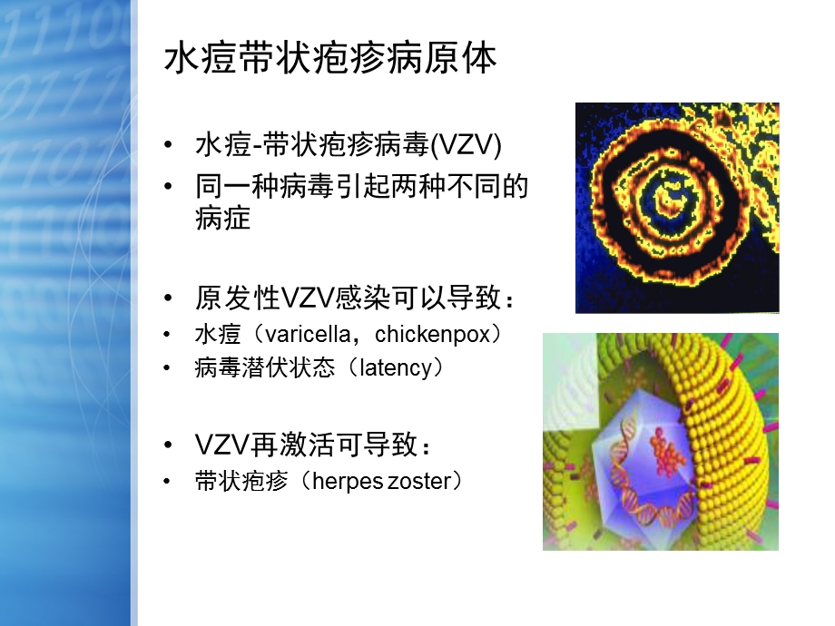 水痘带状疱疹及免疫预防课件.ppt_第3页