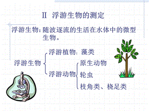 项目一微型生物监测 浮游生物的测定ppt课件.ppt