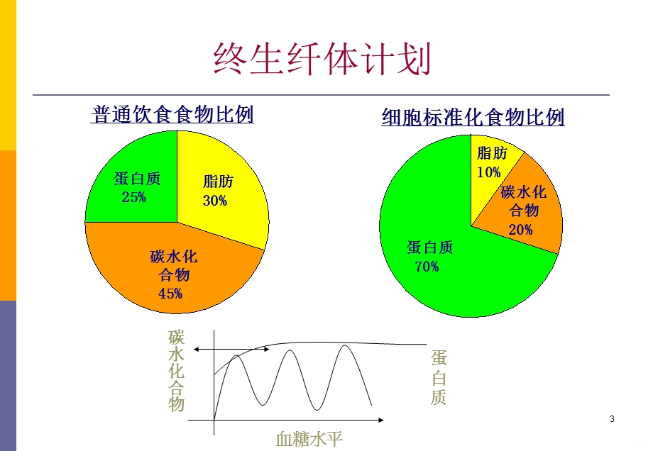 纤体原理课件.ppt_第3页