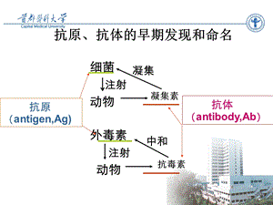 抗原专业知识主题讲座ppt课件.ppt