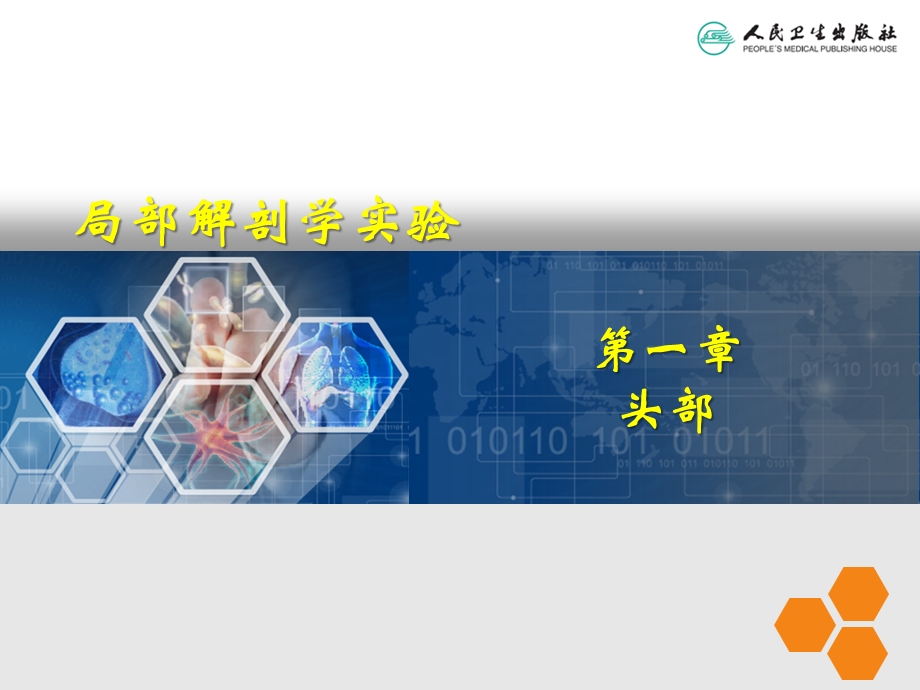 局部解剖学填图题课件.ppt_第2页