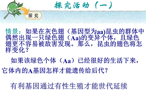 种群是生物进化的基本单位课件.ppt