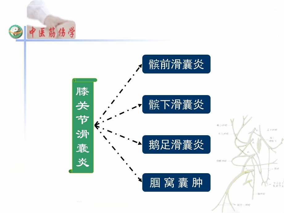 鹅足滑囊炎ppt课件.ppt_第2页