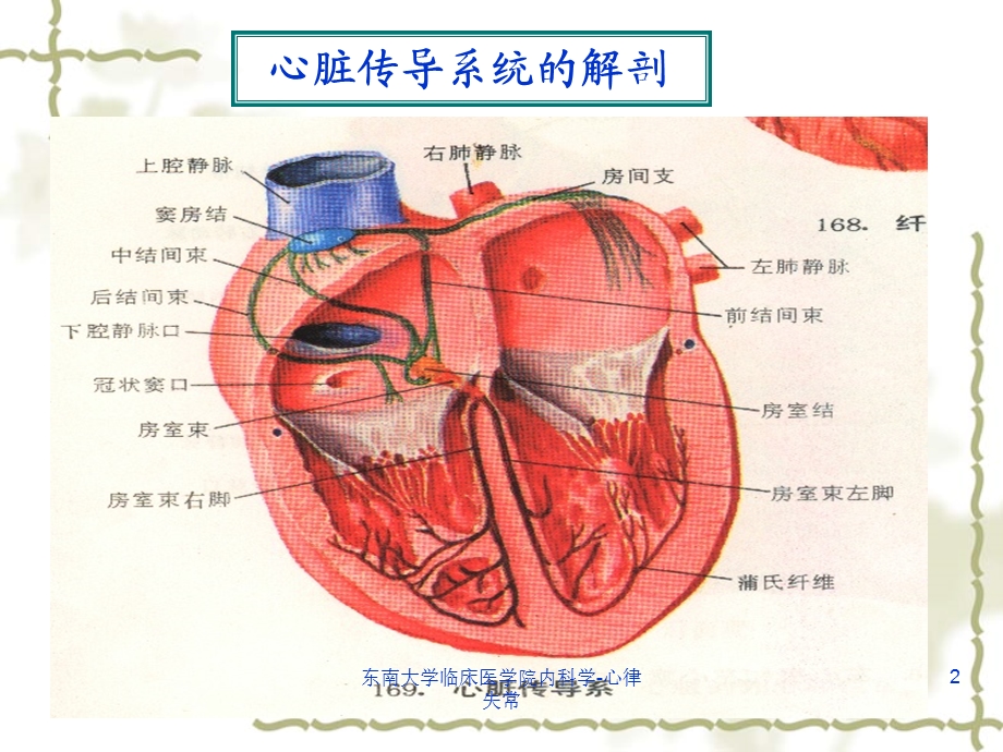 心率失常概述课件.ppt_第2页