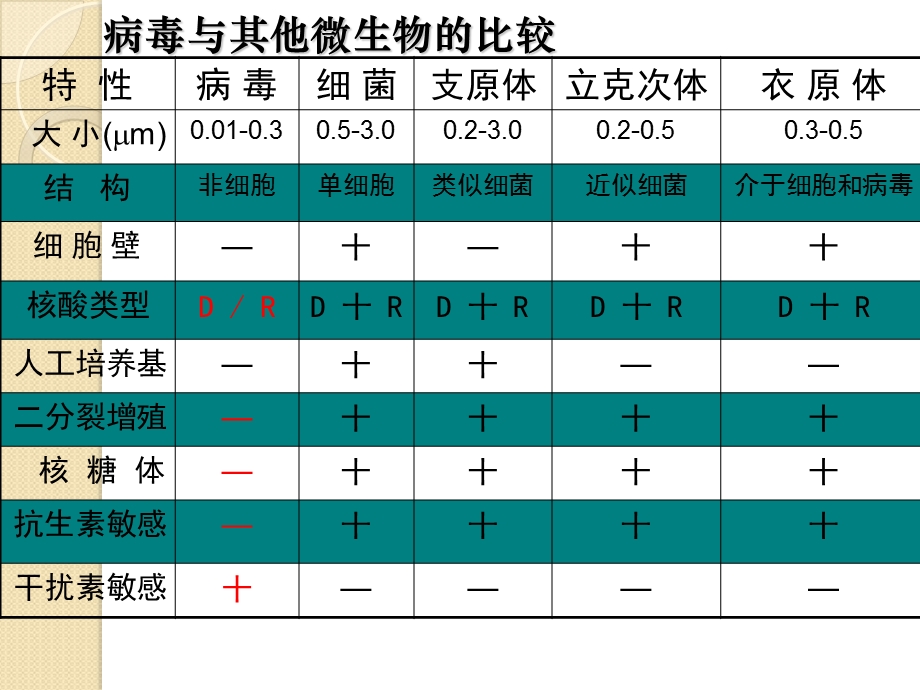 病毒的形态结构和分类课件.ppt_第3页