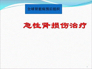 急性肾损伤诊治规范培训课件.pptx