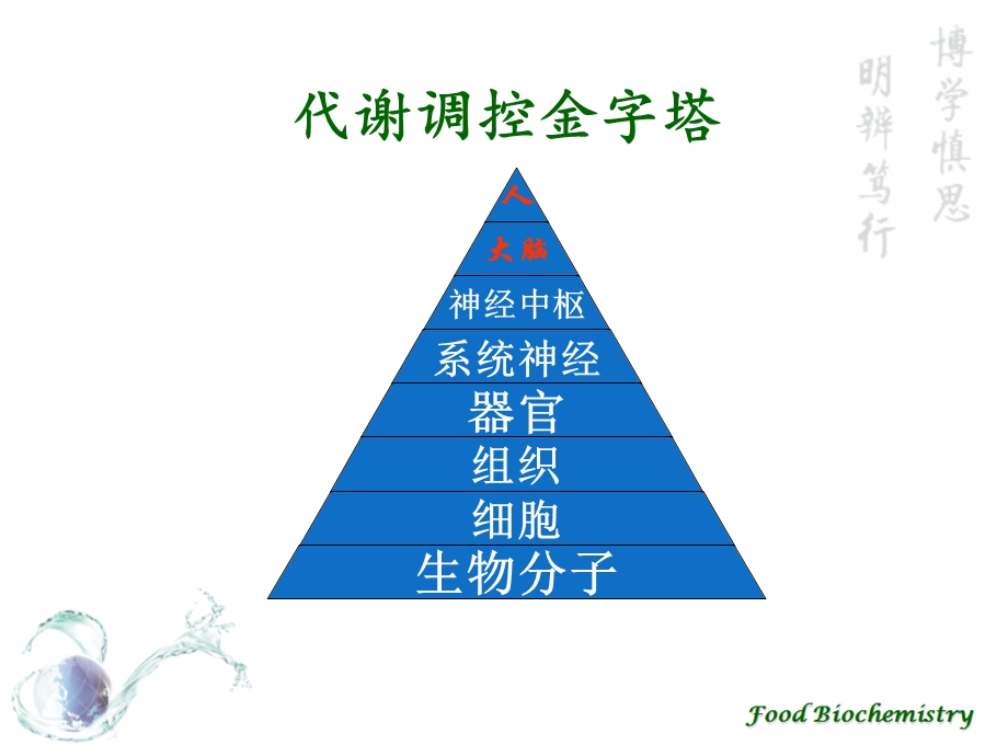 食品生物化学汇总ppt课件.ppt_第2页