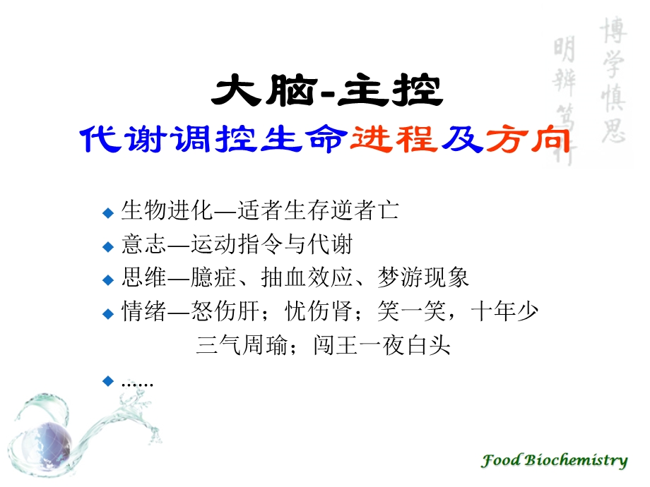 食品生物化学汇总ppt课件.ppt_第3页