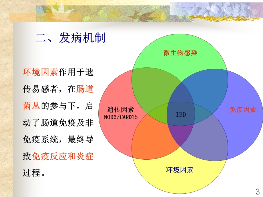 炎症性肠病精讲课件.ppt_第3页