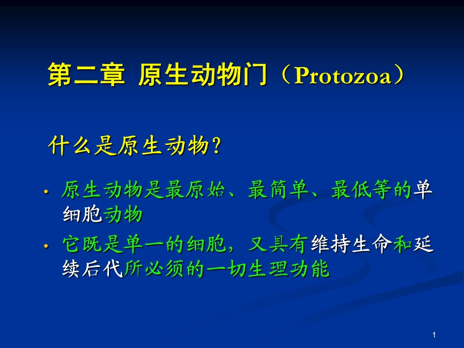 水生生物学原生动物课件.ppt_第1页