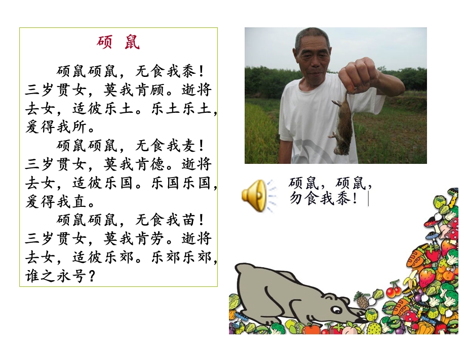 乐国乐国爰得我直诗经硕鼠课件.ppt_第1页