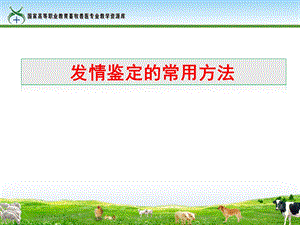 发情鉴定的常用方法课件.ppt