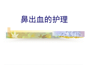 鼻出血课件.ppt