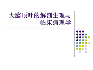 第四节大脑顶叶的解剖生理与临床病理学课件.ppt