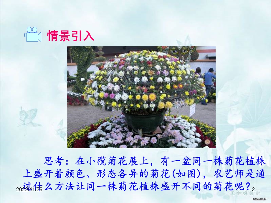 植物的生殖课件.ppt_第2页