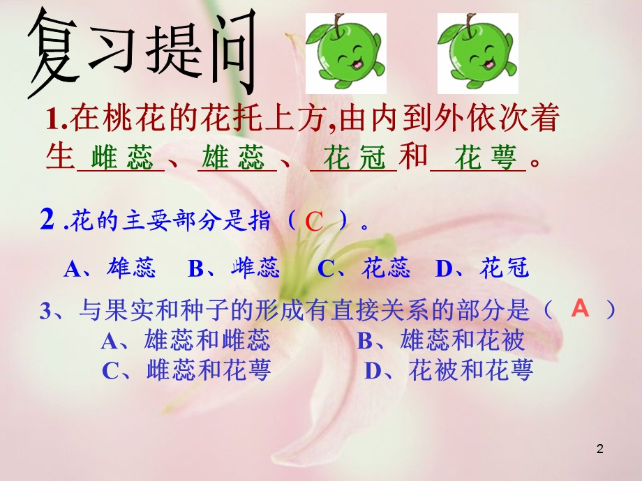 传粉与受精课件.ppt_第2页