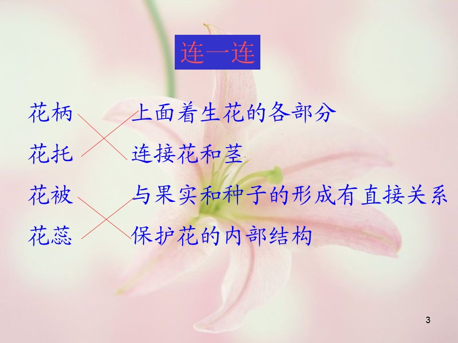 传粉与受精课件.ppt_第3页