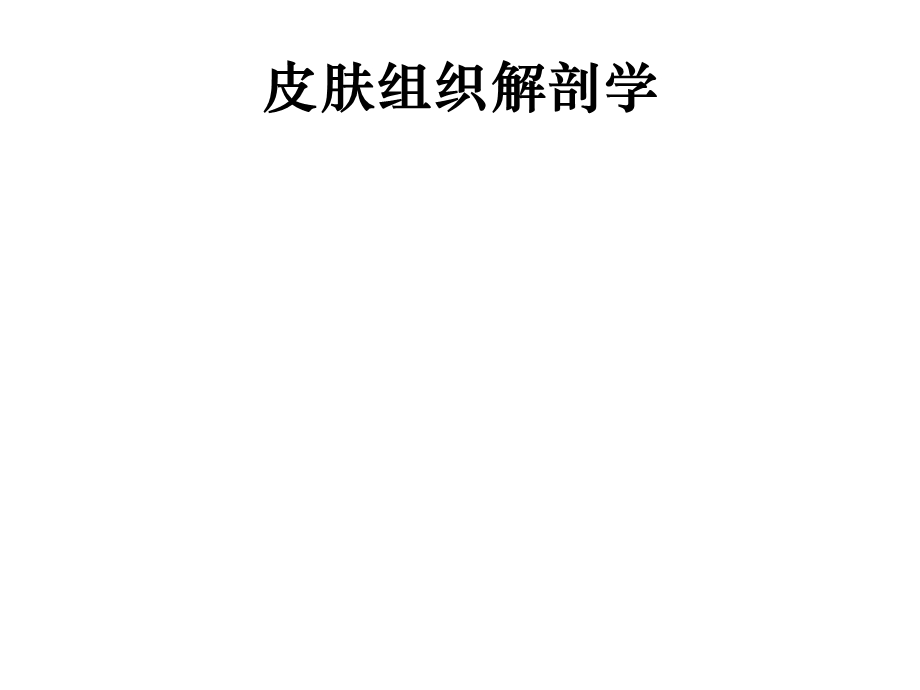 皮肤组织解剖学医学课件.ppt_第1页