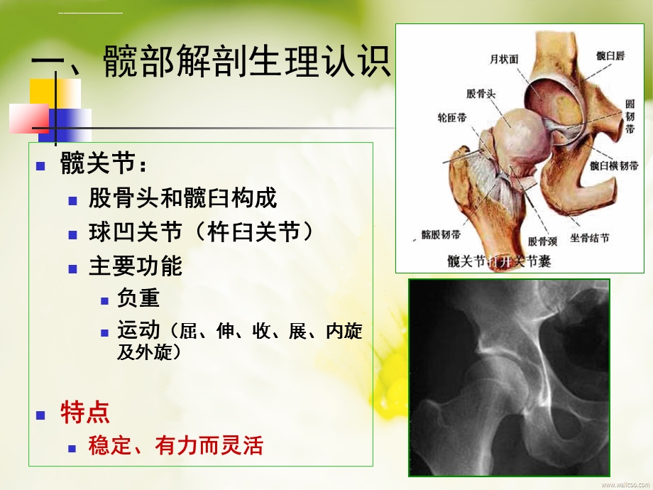 髋关节置换术后的健康宣教ppt课件.ppt_第3页