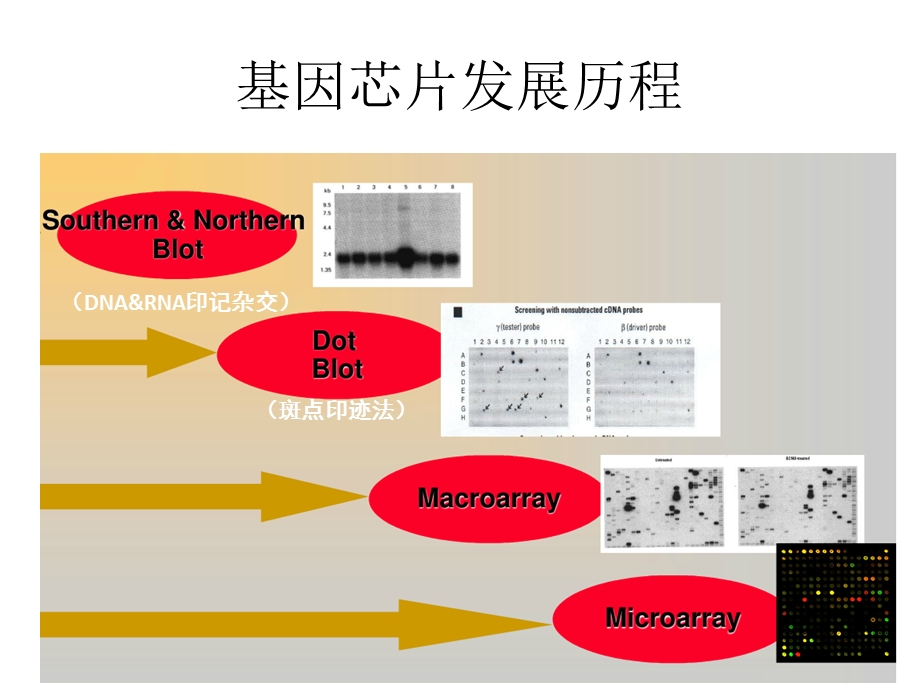 GEO数据库简介课件.ppt_第3页