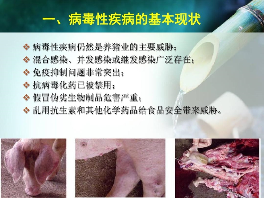 中药防控猪病毒疾病的优势及原理课件.ppt_第3页