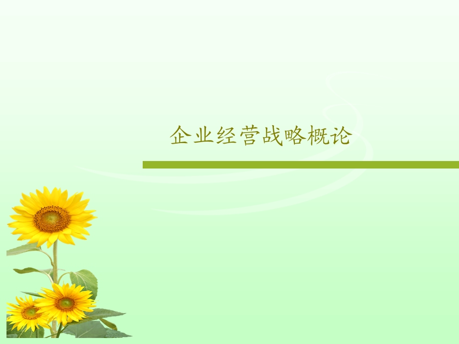 企业经营战略概论课件.ppt_第1页