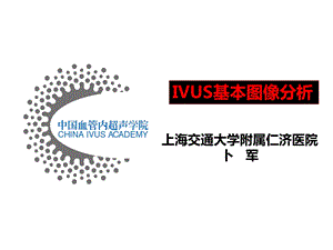 IVUS读图基本技巧课件.ppt