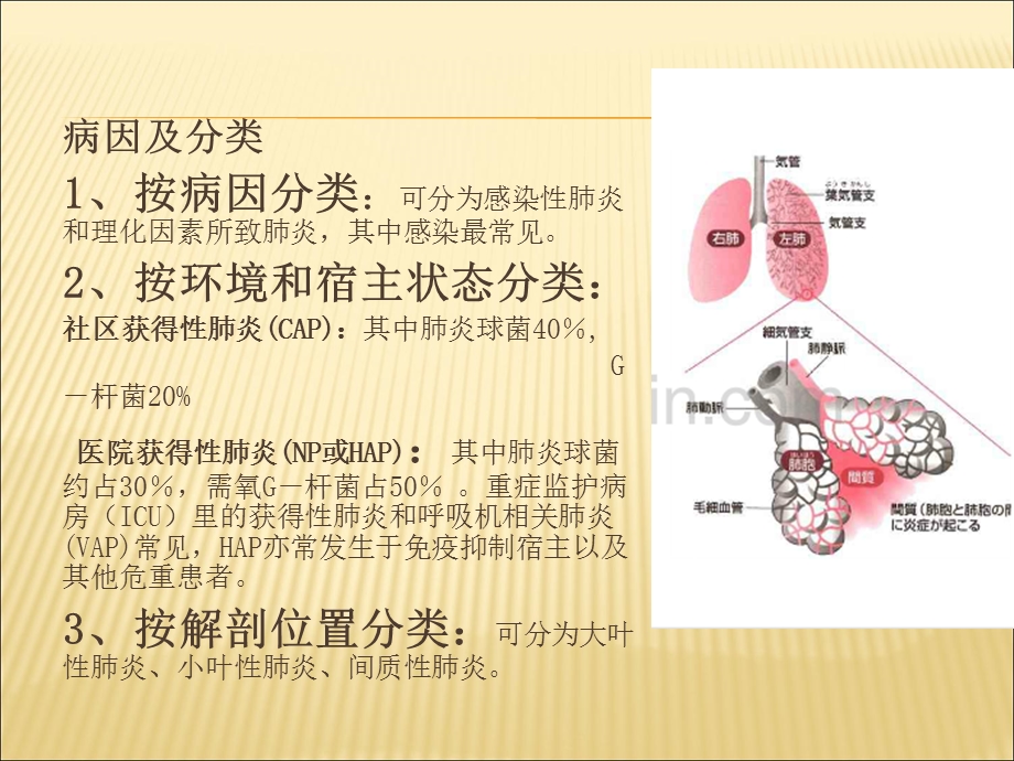 重症肺炎 的护理课件.ppt_第3页