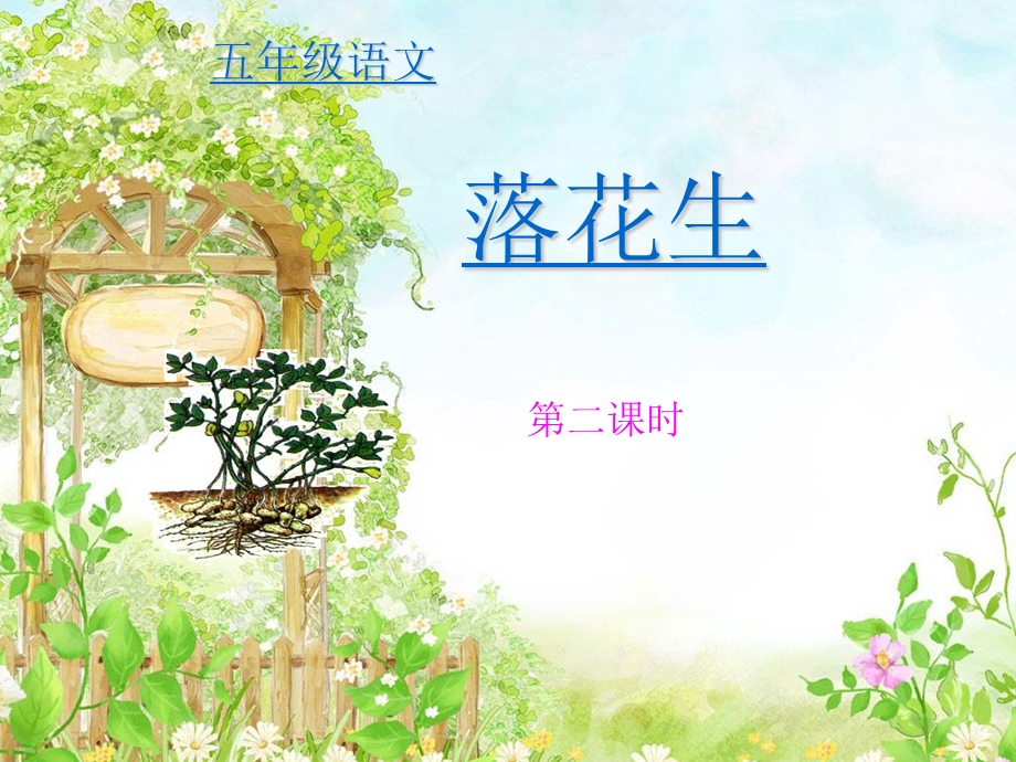 《落花生》讲公开课第二课时课件.ppt_第1页