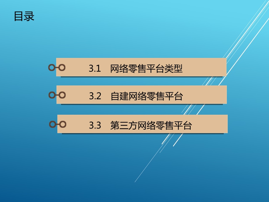 网络零售第三章 网络零售平台及服务选择课件.ppt_第1页