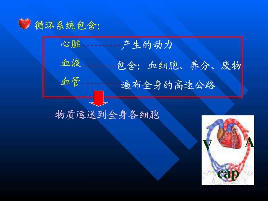 《高血压营养治疗》课件.ppt_第2页