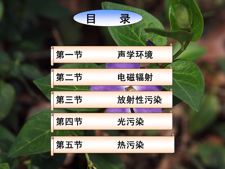 环境学概论 第十章 物理环境课件.ppt_第2页